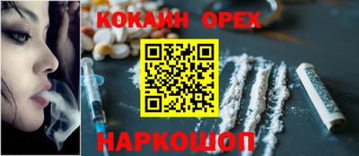 шишки Кингисепп