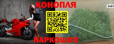 шишки Кингисепп