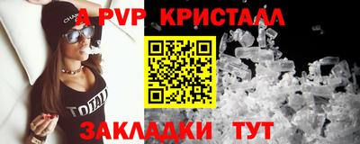 шишки Кингисепп