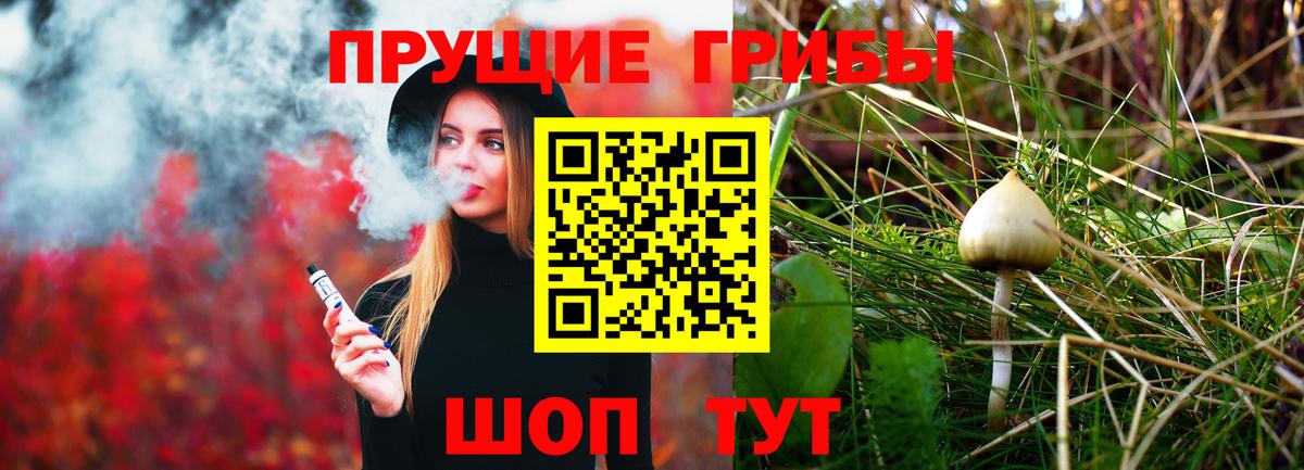 Псилоцибиновые грибы Cubensis Кузнецк
