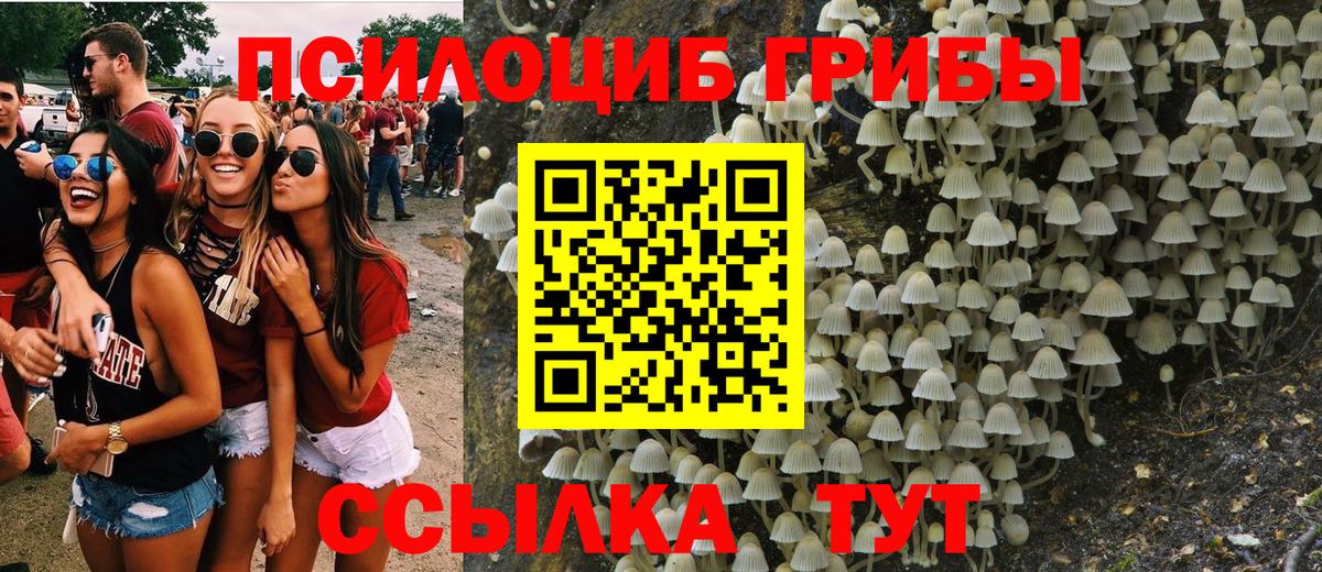Галлюциногенные грибы мицелий  Псилоцибиновые грибы Magic Shrooms  Кузнецк  Вход с VPN 